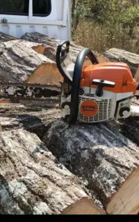 خدمات درخت بری