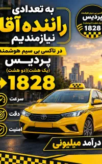 راننده تاکسی بیسیم