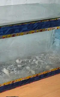 آکواریوم