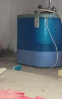 مینی ولش دو قلو