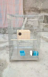قفسه پرنده
