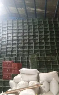 سبد میوه نو
