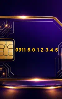 0911-6-012345