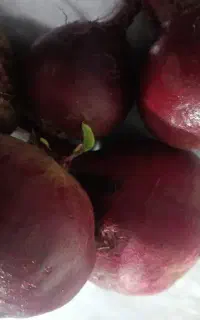 لبو محلی درجه یک و ارگانیک