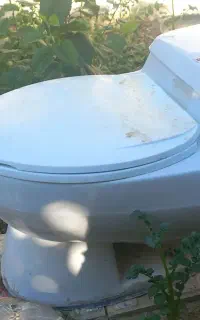 توالت فرنگی