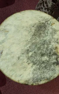تنبک