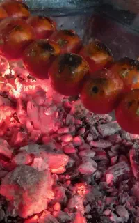 کباب سرای سنتی جوان