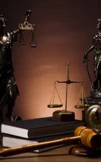 وکیل قوی باتجربه ملکی به شرط حق الوکاله