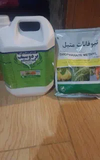 دوعددسم قارچ کش و افت برای درختای مرکبات