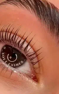 لیفت مژه و ابرو20%off