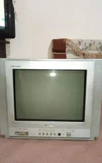 تلوزیون