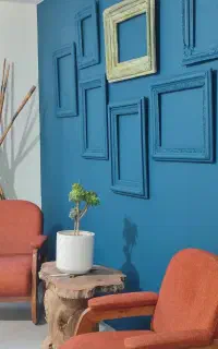 استخدام مجری