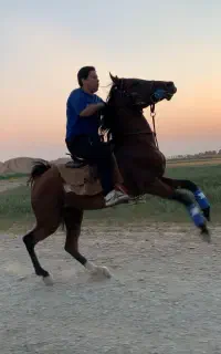 سیلمی جفت زن