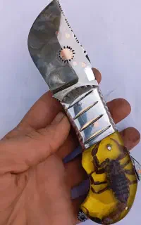 چاقو کلکسیونی