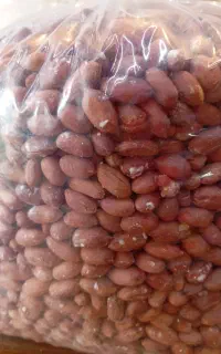 بادام زمینی استانه