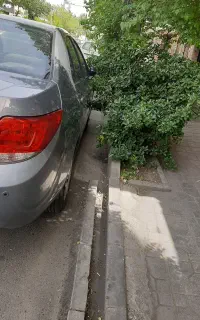 دنا آخر ۱۴۰۰