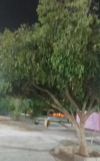 نیازم خانم برای نظافت خانم برای تمیز کاری نیاز دار