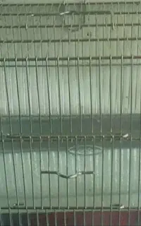 قفس سهره طرقه