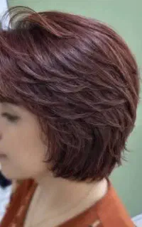 نیازمند مدل