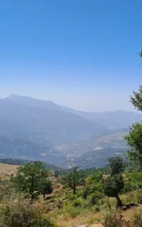 ادمین اینستاگرام