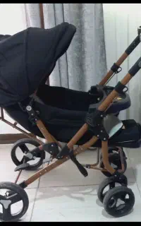 کالسکه دلیجان در حد نو