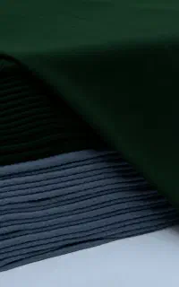 اسپان خارخورده