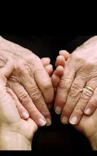 همخانه برای فردی سالمند