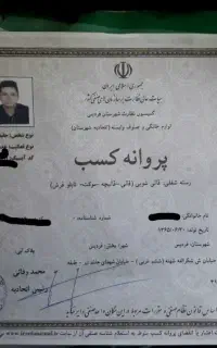 قالیشویی آرا پیک اهری منطریه وحدت ارم فردیس