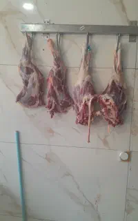 فروش گوسفند زنده با قصاب در محل