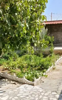 خانه ویلایی تفریحی
