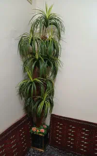 درختچه مصنوعی