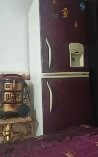 یخجال در حد نو