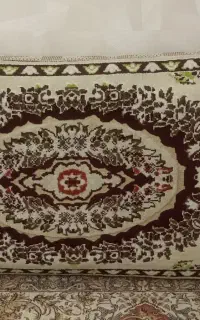یک جفت پشتی سالم