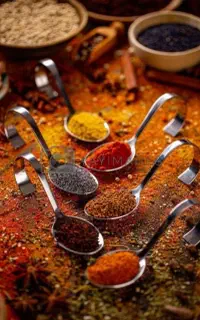 خوشبوترین ادویه ها را با ما تجربه کنید