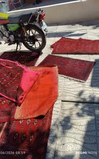 ۱۶ عدد پشتی دستباف در چند طرح مختلف