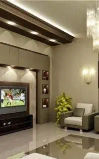 برقکاری حرفه‌ای