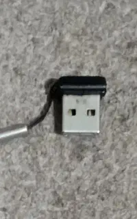 فلش