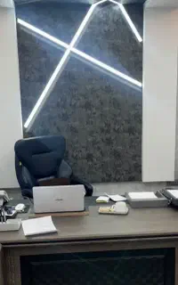 منشی خانم