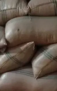 کاه قارادنه