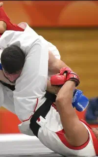 آموزش بوکس ، MMA ، جوجیتسو