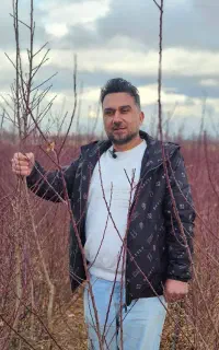 نهالستان گردو پربار پالیز میاندوآب