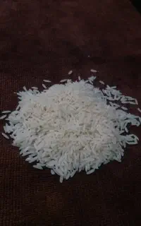 برنج طارم هاشمی