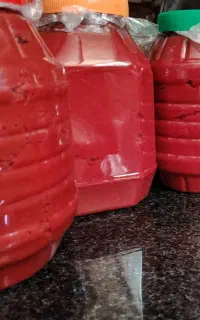 رب خانگی درجه یک