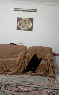 مبل پنج نفره