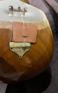 تار بامداد ، سرپنجه ویولونی