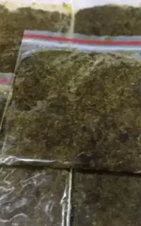اسلاب سبزی خورشتی