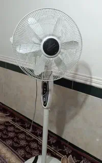 پنکه