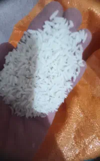 برنج هاشمی الک کارخانه
