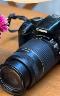 دوربین کنون ۴۵۰dبه همراه لنز ۵۵ـ۲۵۰