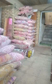 همه رنگ همه مدل